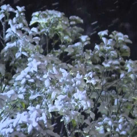镇雄天气预报（镇雄天气预报15天）