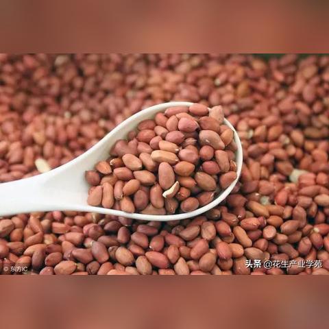 钟祥天气（钟祥天气查询记录）
