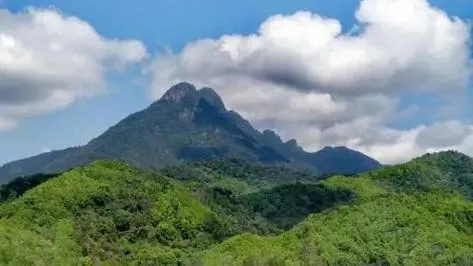 五指山天气（五指山天气预警）