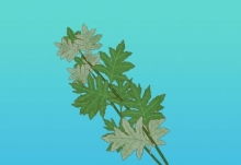 洛阳天气预报15天（2345洛阳天气预报15天）