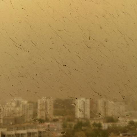 今天北京天气预报（明天北京天气预报）
