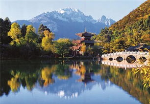 丽江必去4个景点（丽水必去4个景点有哪些）